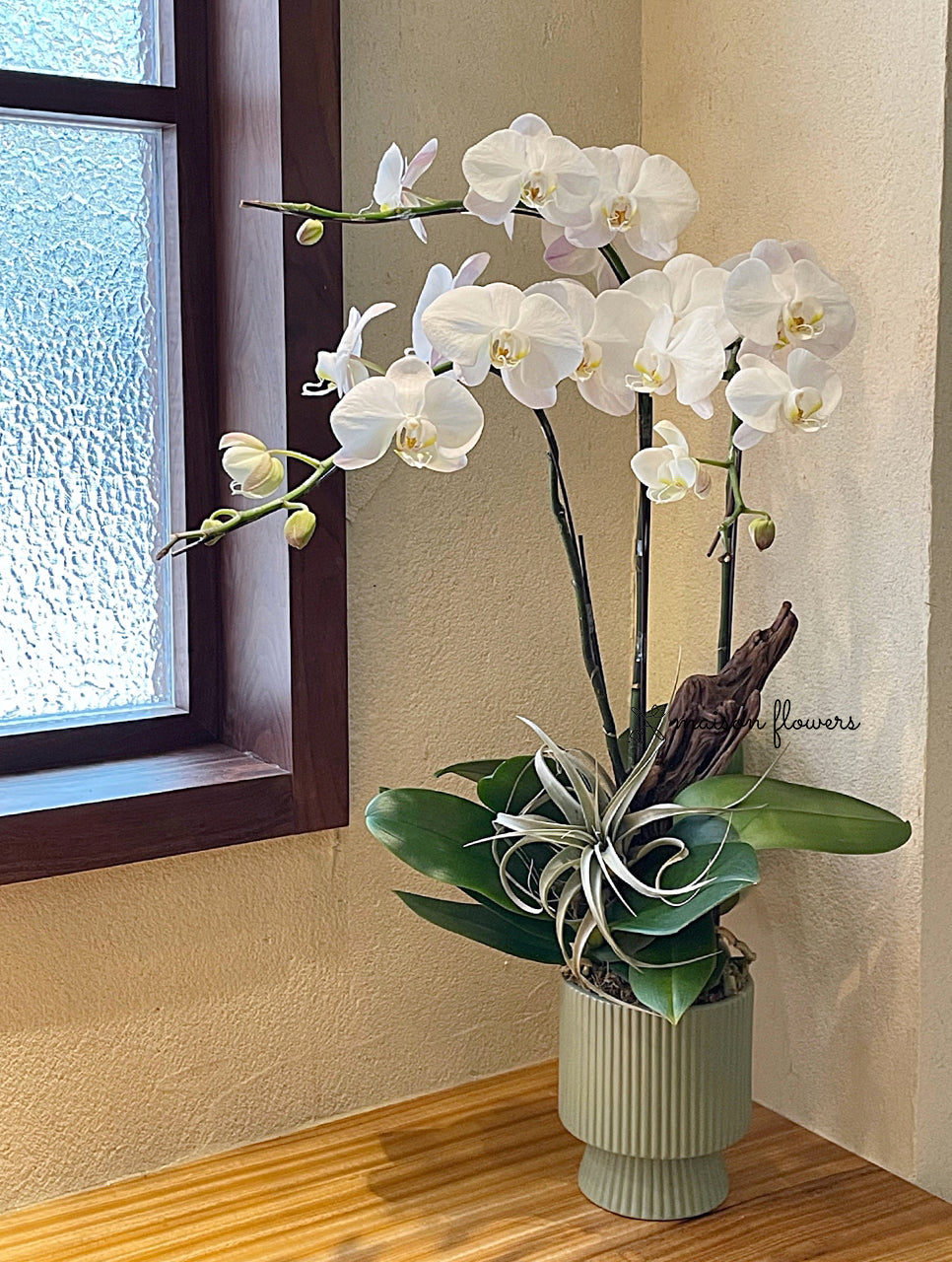 Chinese New Year Orchid Potted Decoration - White Phalaenopsis (3 stems)