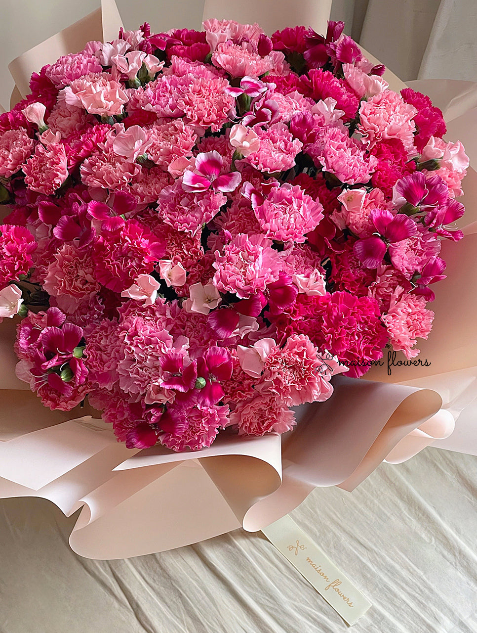 Red Carnation, Pink Carnation