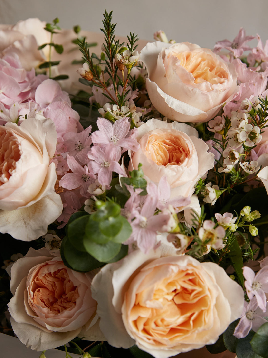 David Austin Juliet Rose 蜜桃色婚禮玫瑰：英國最浪漫經典花種