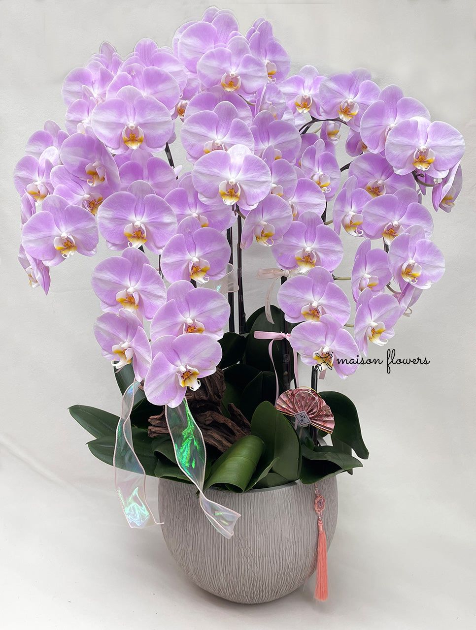 香港花店淡粉黃芯蝴蝶蘭