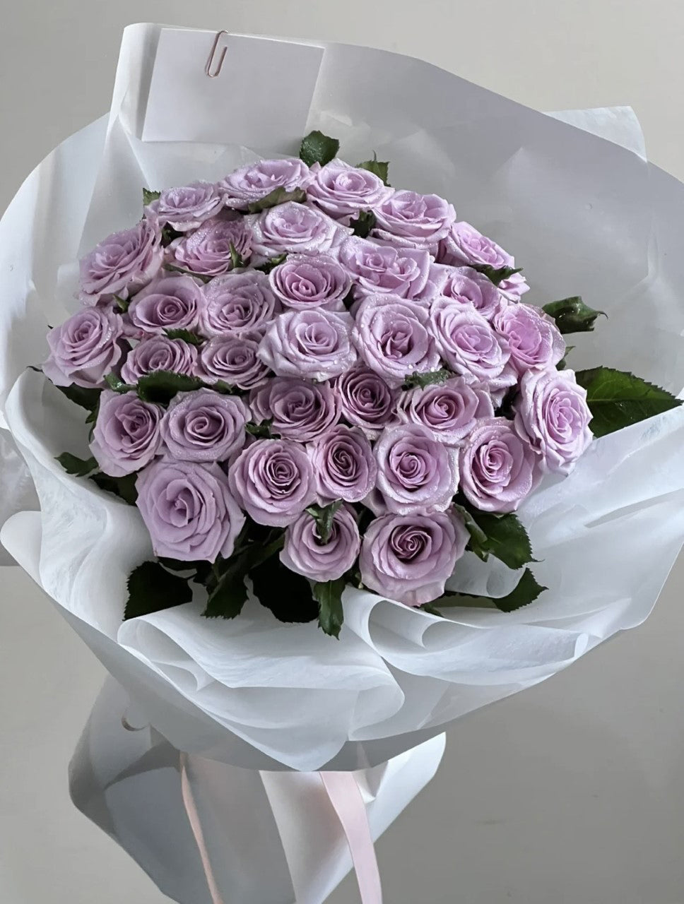 33 stems purple rose bouquet, 紫玫瑰, 求婚花束